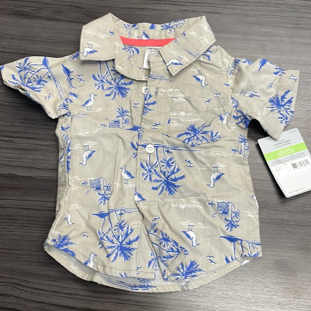Boys Carter’s lemur/palm tree green button down